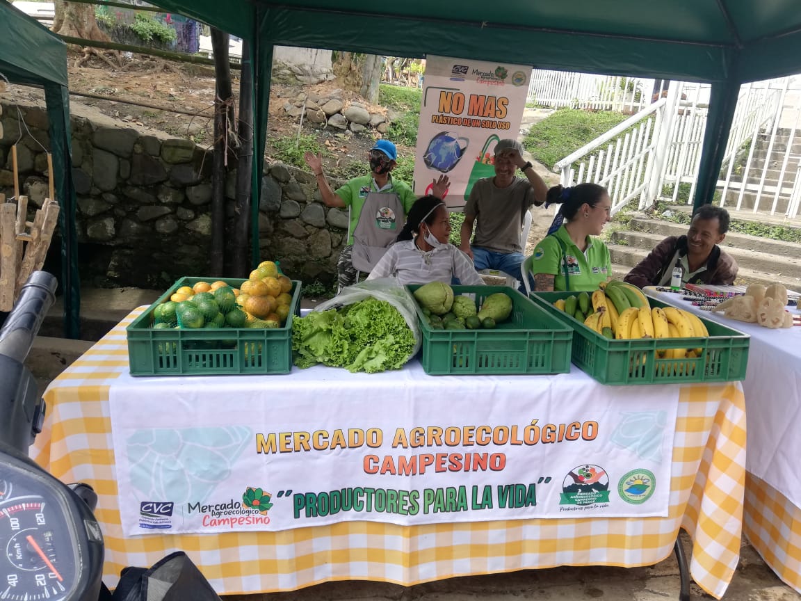 Mercado campesino de pance 2023